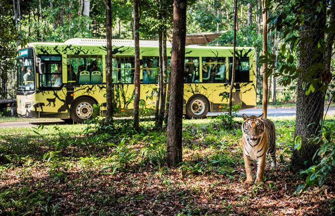 Những "hành khách" đặc biệt, bay chuyên cơ tới Safari giữ "kỷ lục kép" của Vinpearl giờ ra sao? - Ảnh 3.