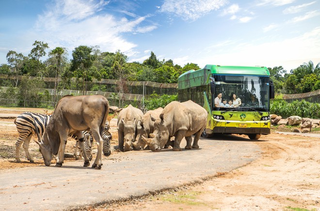 Những "hành khách" đặc biệt, bay chuyên cơ tới Safari giữ "kỷ lục kép" của Vinpearl giờ ra sao? - Ảnh 7.