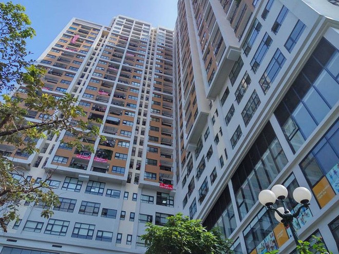 MIC Tower 54 Tố Hữu “động đậy” sau thập kỷ đắp chiếu, năng lực địa ốc của MIC vẫn bỏ ngỏ- Ảnh 4. MIC Tower 54 Tố Hữu “động đậy” sau thập kỷ đắp chiếu, năng lực địa ốc của MIC vẫn bỏ ngỏ- Ảnh 4.