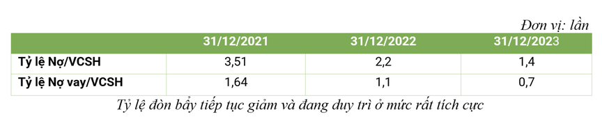 Bamboo Capital (BCG): Doanh thu 4.012 tỷ, đòn cân nợ tiếp tục giảm mạnh- Ảnh 3.