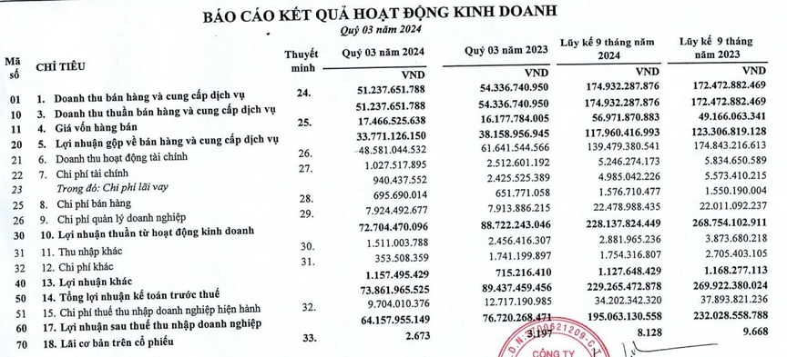 Lãi suất ngân hàng có kỳ hạn giảm, Nam Tân Uyên báo lãi "đi lùi" trong quý III/2024- Ảnh 1.