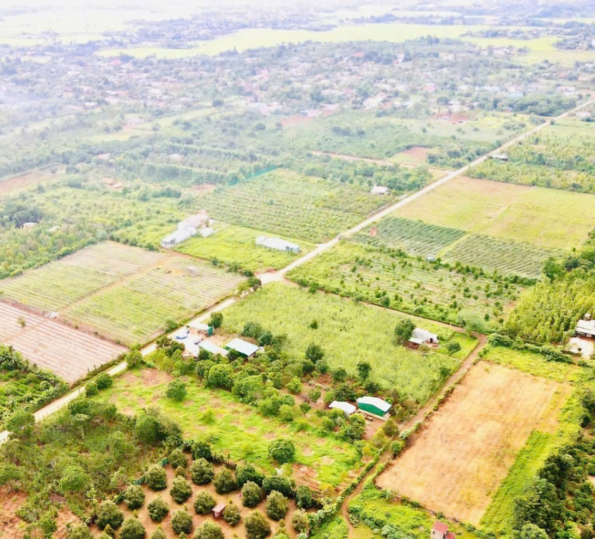 Đắk Lắk: Bất động sản nông nghiệp trên địa bàn tỉnh đang từng bước khởi sắc- Ảnh 3.