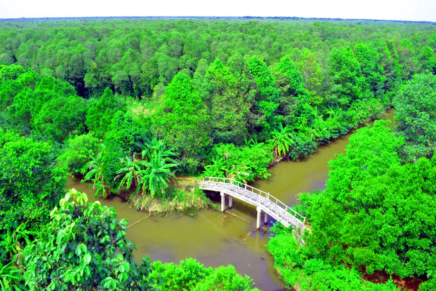 Hậu Giang quy định hạn mức giao đất, cho thuê đất, công nhận quyền sử dụng đất- Ảnh 2.