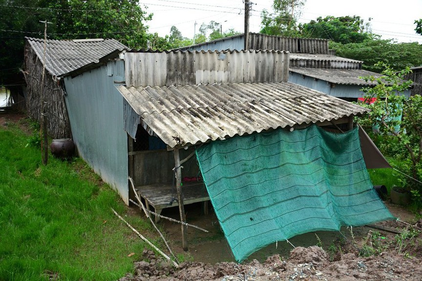 Cà Mau: Yêu cầu nhanh chóng cụ thể hóa Luật Đất đai, Luật Nhà ở, Luật Kinh doanh bất động sản- Ảnh 2.