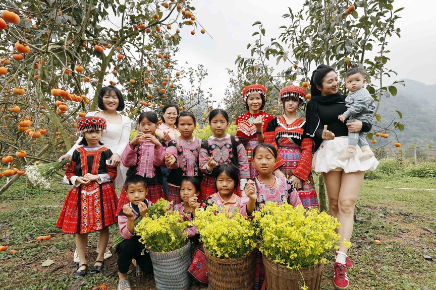 Photo Travel: Mùa hồng chín rộ trên cao nguyên Mộc Châu- Ảnh 6.