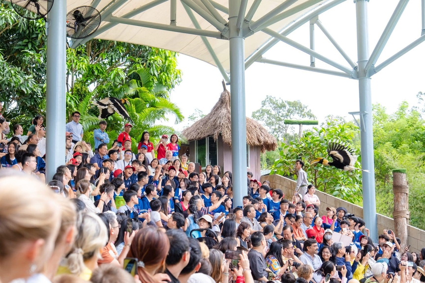 A large crowd of people watching a bird  Description automatically generated