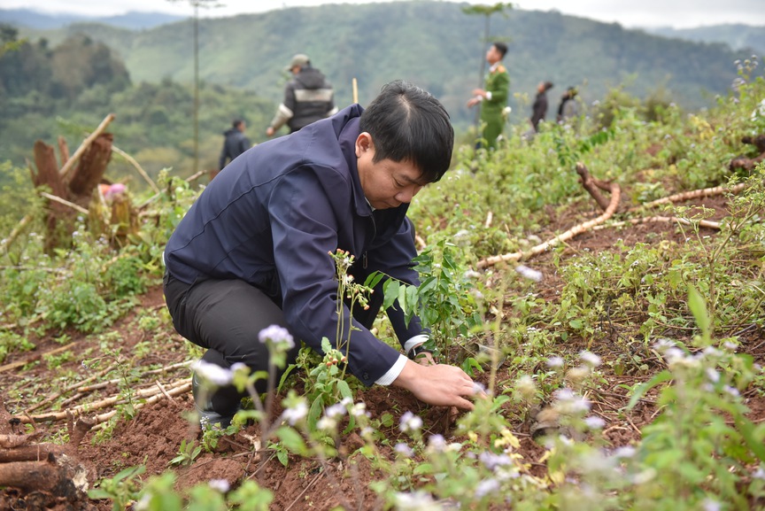 Tết An Bình 2024: ABBANK gây quỹ tài trợ 50.000 cây gỗ lớn cho người dân Quảng Bình- Ảnh 24.