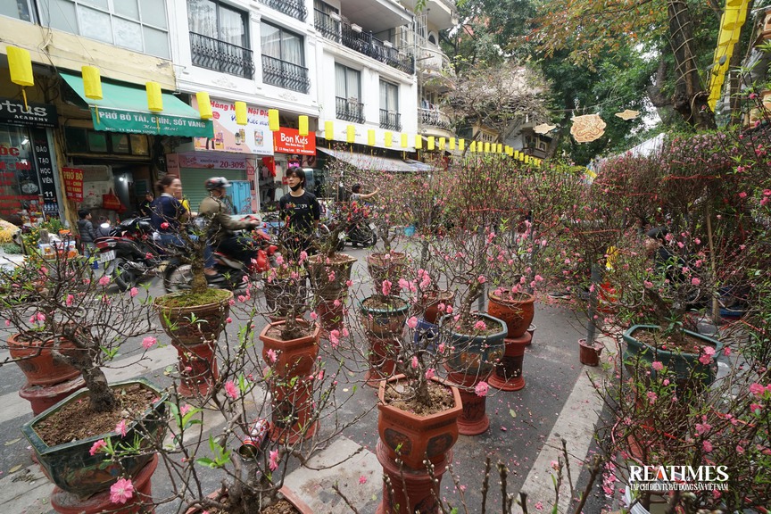 Chợ hoa Hàng Lược - khơi gợi Tết Hà Nội trong ký ức- Ảnh 5.