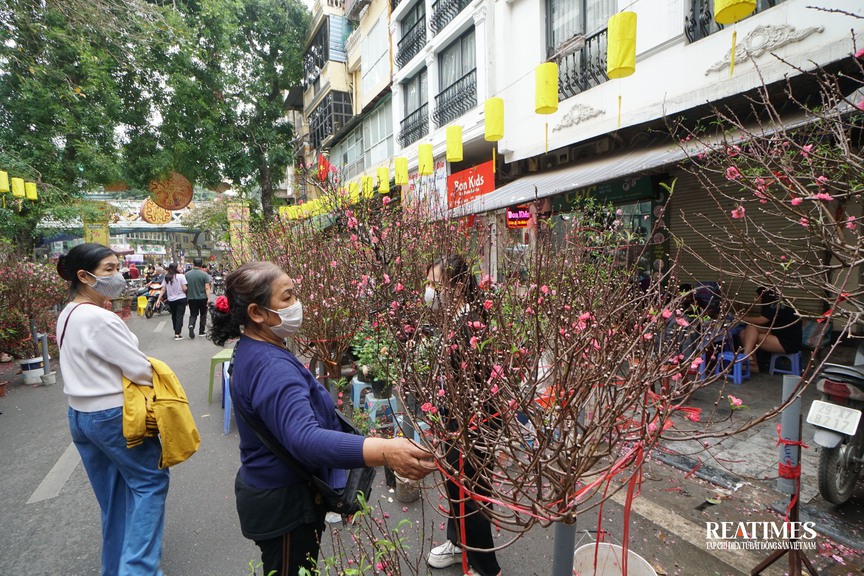 Chợ hoa Hàng Lược - khơi gợi Tết Hà Nội trong ký ức- Ảnh 6.