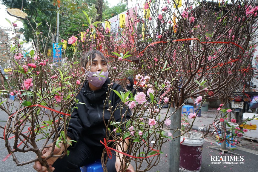 Chợ hoa Hàng Lược - khơi gợi Tết Hà Nội trong ký ức- Ảnh 8.