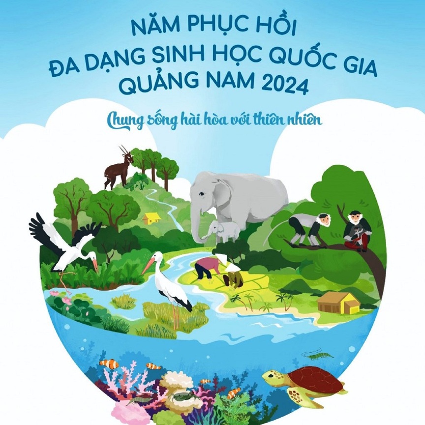 Quảng Nam: Triển khai chuỗi hoạt động bảo vệ đa dạng sinh học, động vật hoang dã- Ảnh 1.
