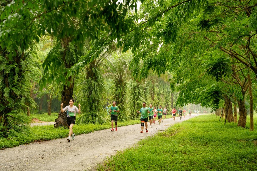 Dàn elite và gần 4000 vận động viên đổ bộ Ecopark Marathon 2024- Ảnh 1.