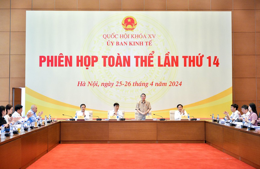 Phó Chủ tịch Quốc hội Nguyễn Đức Hải dự Phiên họp toàn thể lần thứ 14 của Ủy ban Kinh tế- Ảnh 1.