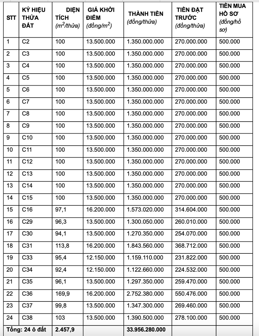 Vĩnh Phúc đấu giá 30 thửa đất trong tháng 5, giá khởi điểm cao nhất là 23 triệu đồng/m2.- Ảnh 2.