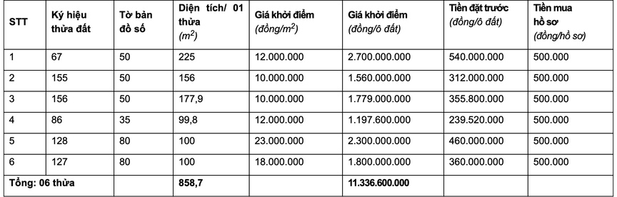 Vĩnh Phúc đấu giá 30 thửa đất trong tháng 5, giá khởi điểm cao nhất là 23 triệu đồng/m2.- Ảnh 1.