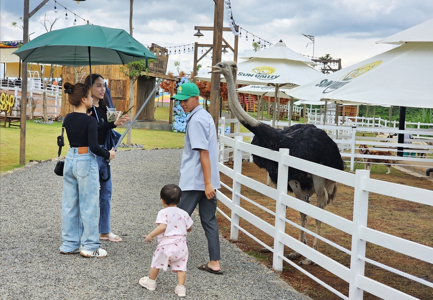 Lâm Đồng: Yêu cầu ngưng hoạt động địa điểm du lịch tại dự án Sun Valley của Khải Hưng Corp- Ảnh 2.