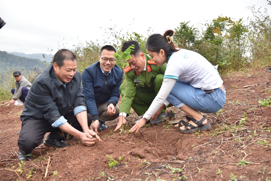 ABBANK thành công gây quỹ 50.000 cây gỗ lớn cho các gia đình khó khăn tỉnh Quảng Bình
- Ảnh 3.