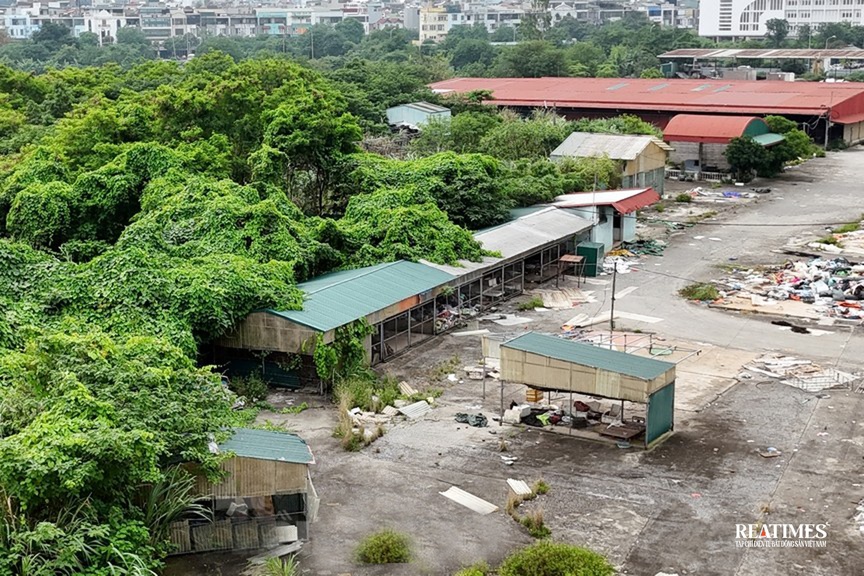 Cảnh hoang tàn tại Dự án công viên văn hóa thể thao Hà Đông- Ảnh 2.