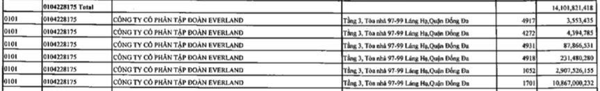 EverLand (EVG): Tham vọng lớn nhưng dòng tiền kinh doanh liên tục âm, cổ phiếu nằm trong diện bị kiểm soát- Ảnh 3.