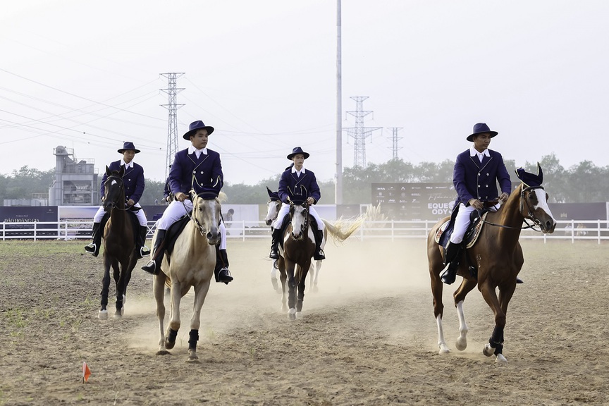 Du khách hào hứng khám phá bộ môn mã thuật tại Vinpearl Horse Academy Vũ Yên- Ảnh 4.