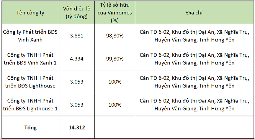 Vinhomes thành lập 4 công ty con với vốn điều lệ hơn 14 nghìn tỷ đồng- Ảnh 1.