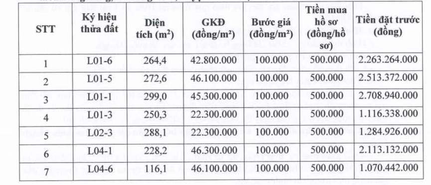 Hà Nội sắp đấu giá 19 thửa đất tại huyện Ba Vì, giá khởi điểm thấp nhất hơn 22 triệu đồng/m2- Ảnh 3.