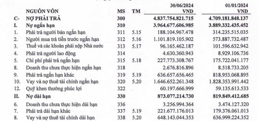 Hải Phát báo lãi hơn 31 tỷ đồng trong quý II/2024- Ảnh 1.