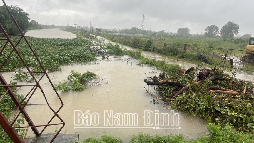 Nam Định: Dồn lực đảm bảo an toàn cho người dân vùng bối trong mưa, lũ- Ảnh 2.