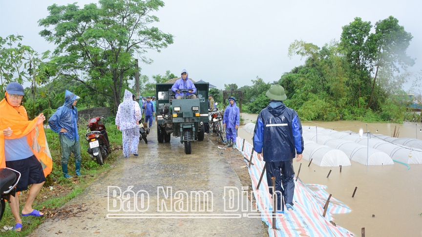 Nam Định: Dồn lực đảm bảo an toàn cho người dân vùng bối trong mưa, lũ- Ảnh 9.