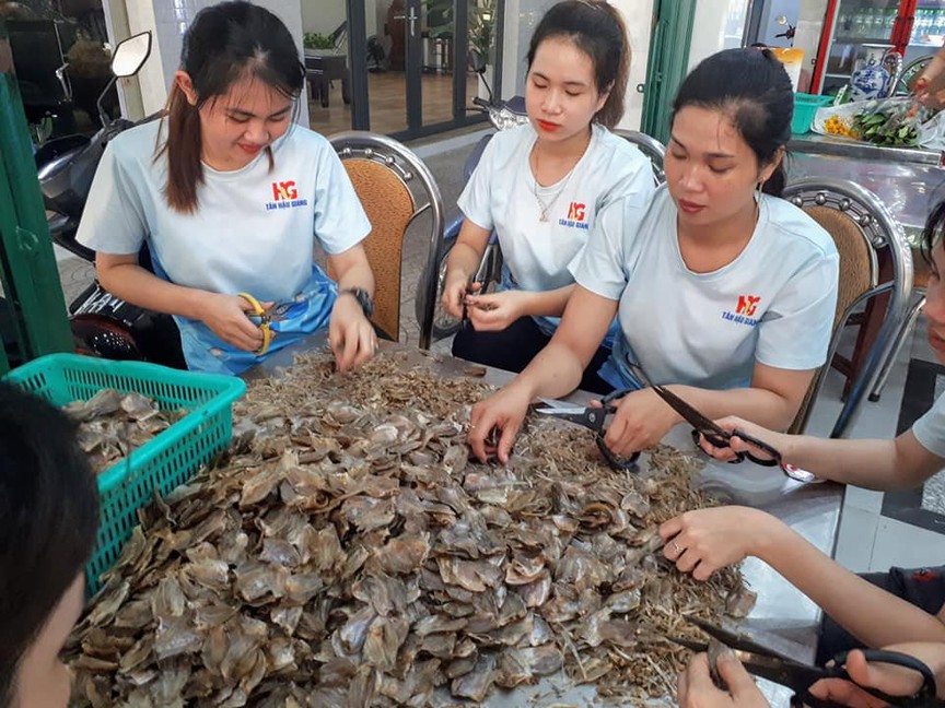 Hậu Giang định hướng xây dựng cơ cấu sản xuất nông nghiệp của từng địa phương phù hợp với tiểu vùng sinh thái- Ảnh 1.