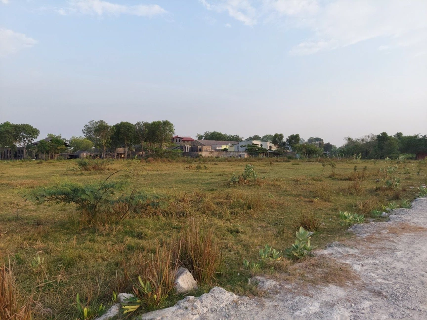 Người đàn ông mua đất trồng cây bị cả xóm cười chê, một năm sau nhận về số tiền bạc tỷ- Ảnh 1. Người đàn ông mua đất trồng cây bị cả xóm cười chê, một năm sau nhận về số tiền bạc tỷ- Ảnh 1.