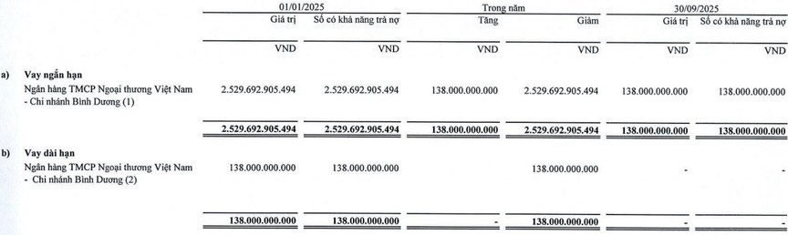 Nam Tân Uyên (NTC) vượt kế hoạch lợi nhuận trong 9 tháng đầu năm, sức khỏe tài chính cải thiện trước thềm chuyển sàn- Ảnh 2.