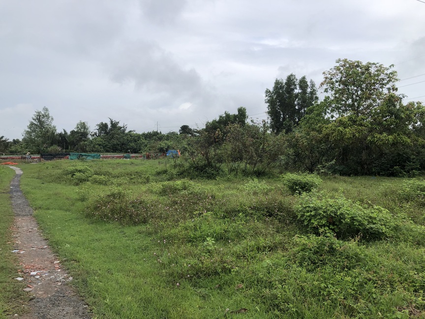 Cần Thơ: Chủ đầu tư dự án Khu tái định cư phường Long Hòa trả lời kiến nghị liên quan đến kết quả lựa chọn nhà thầu- Ảnh 2. Cần Thơ: Chủ đầu tư dự án Khu tái định cư phường Long Hòa trả lời kiến nghị liên quan đến kết quả lựa chọn nhà thầu- Ảnh 2.