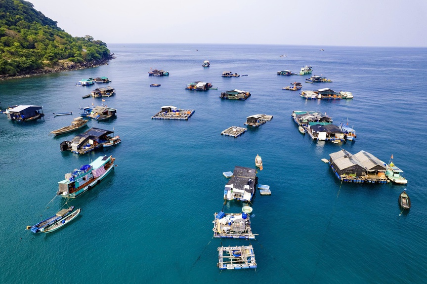 Khai mạc Đại hội Đảng bộ tỉnh An Giang lần thứ I : “Một An Giang – Một tầm nhìn – Một ý chí – Một niềm tin thắng lợi”- Ảnh 4.