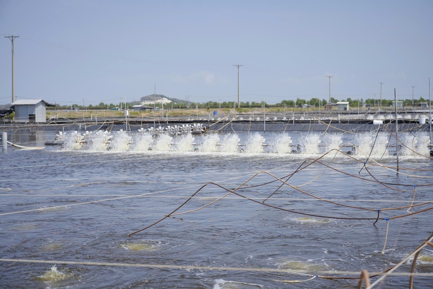 Khai mạc Đại hội Đảng bộ tỉnh An Giang lần thứ I : “Một An Giang – Một tầm nhìn – Một ý chí – Một niềm tin thắng lợi”- Ảnh 5.