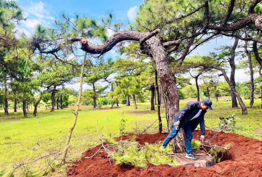 Gia Lai chỉ đạo nóng về dự án 2.800 tỷ của Tập đoàn FLC- Ảnh 1. Gia Lai chỉ đạo nóng về dự án 2.800 tỷ của Tập đoàn FLC- Ảnh 1.