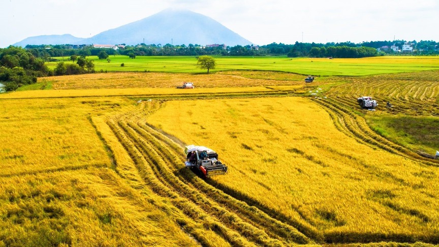 NÓNG: Đề xuất thêm 3 trường hợp Nhà nước thu hồi đất- Ảnh 1. NÓNG: Đề xuất thêm 3 trường hợp Nhà nước thu hồi đất- Ảnh 1.