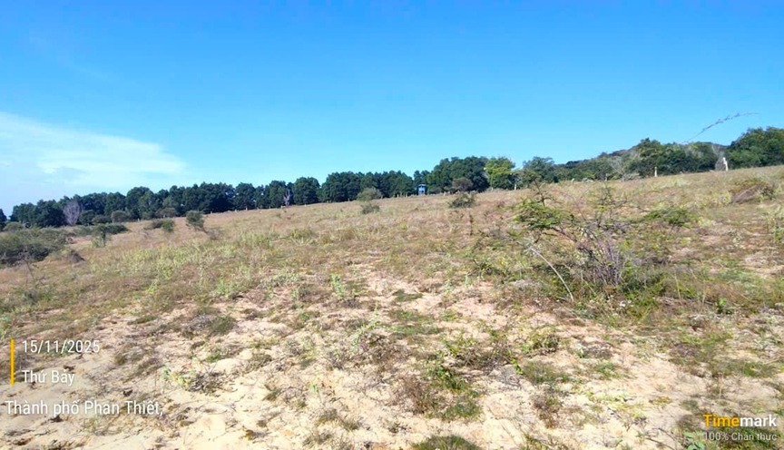 Cưỡng chế hơn 35.000m2 đất của bà Nguyễn Thị Bảy- Ảnh 1.