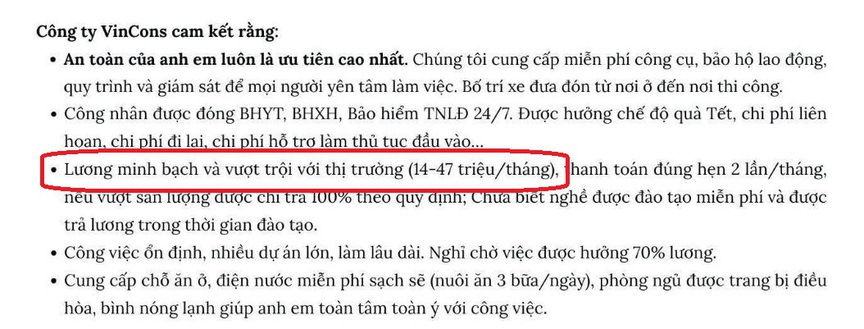Công ty tổng thầu chủ lực của Vingroup ra thông báo chiêu mộ nhân lực, mức lương cực hấp dẫn- Ảnh 2.