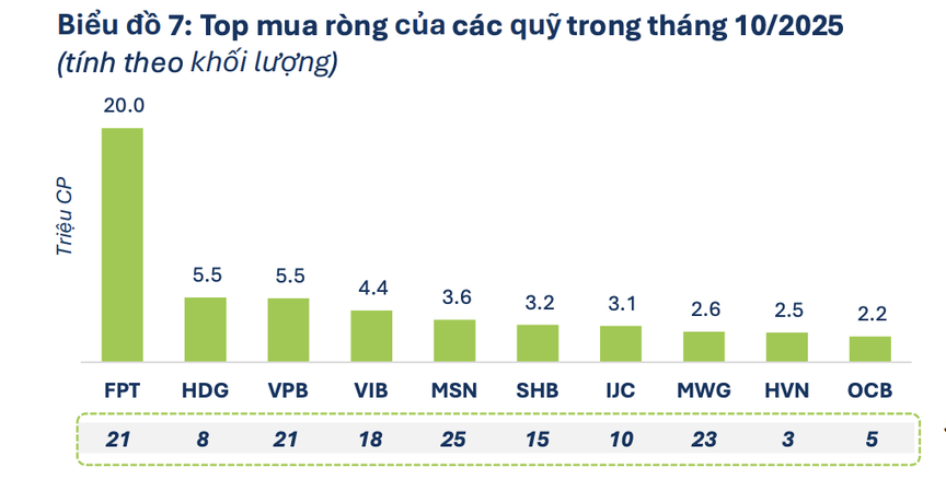 "Sức khỏe" của các quỹ đầu tư tại Việt Nam: Dòng vốn có thể "đảo chiều" khi thị trường thuận lợi hơn- Ảnh 1.