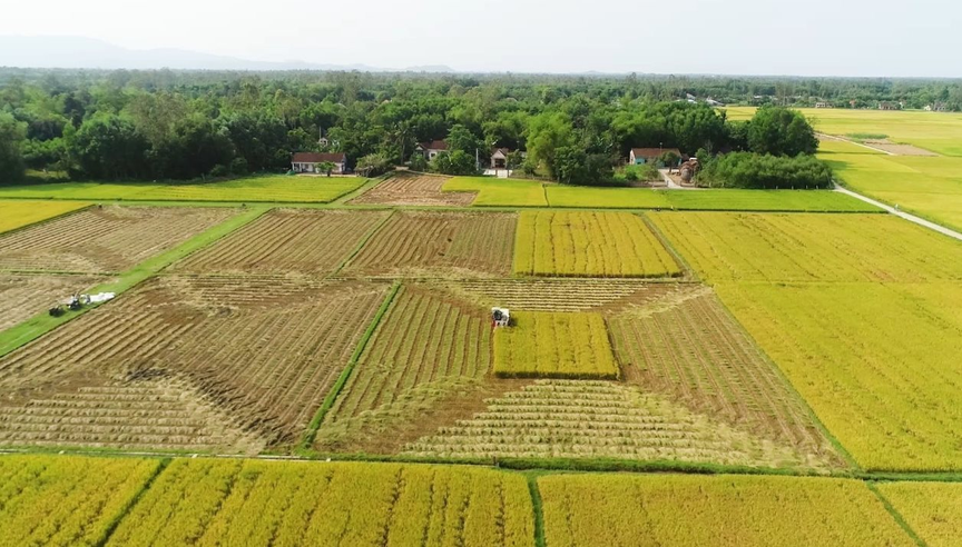 Kể từ nay, các trường hợp này sẽ được kéo dài thời hạn miễn thuế sử dụng đất nông nghiệp. Ảnh minh họa