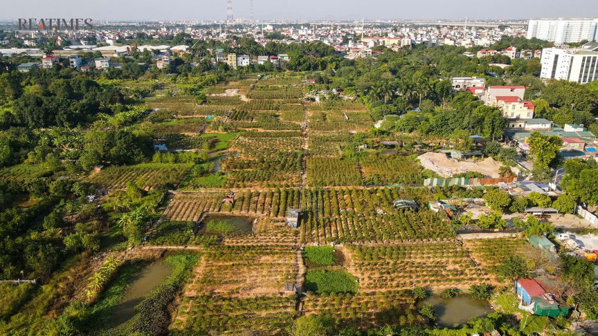 Ngổn ngang khu đô thị 7.000 tỷ đồng vừa được Hà Nội "lệnh" tái khởi động sau 15 năm "đắp chiếu"- Ảnh 7.