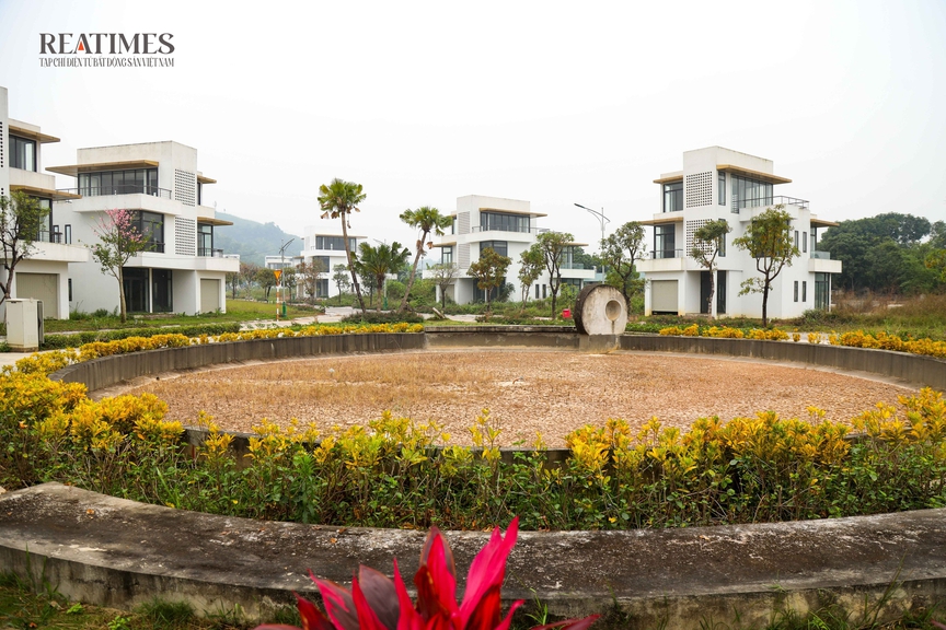 Cỏ dại mọc trong biệt thự, nhà phố không người tại khu đô thị Legacy Hill Hòa Bình- Ảnh 7. Cỏ dại mọc trong biệt thự, nhà phố không người tại khu đô thị Legacy Hill Hòa Bình- Ảnh 7.