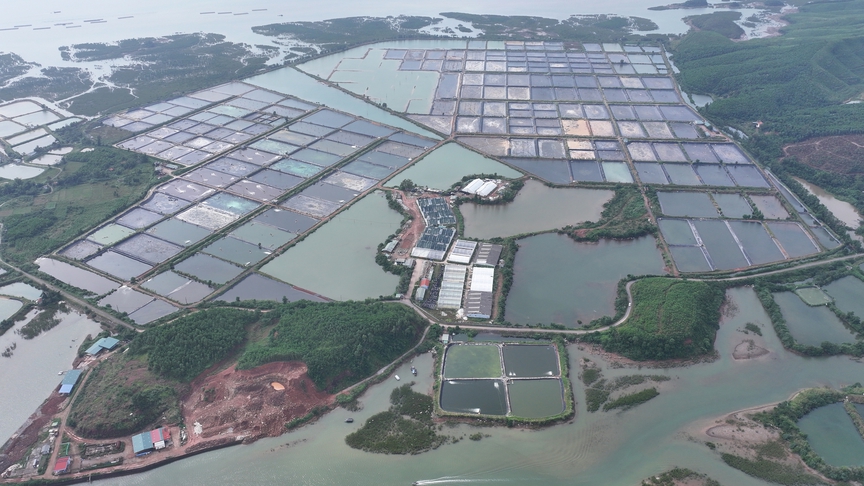 Quảng Ninh: Bim Group khởi công 3 dự án tổng vốn đầu tư gần 10.500 tỷ- Ảnh 3.