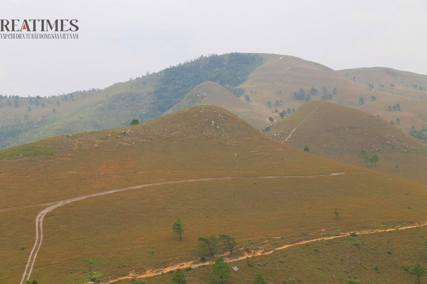 Đỉnh Phượng Hoàng - Vẻ đẹp hoang sơ lặng lẽ giữa non thiêng Quảng Ninh- Ảnh 1.