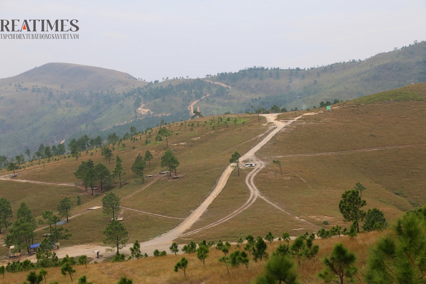 Đỉnh Phượng Hoàng - Vẻ đẹp hoang sơ lặng lẽ giữa non thiêng Quảng Ninh- Ảnh 8.