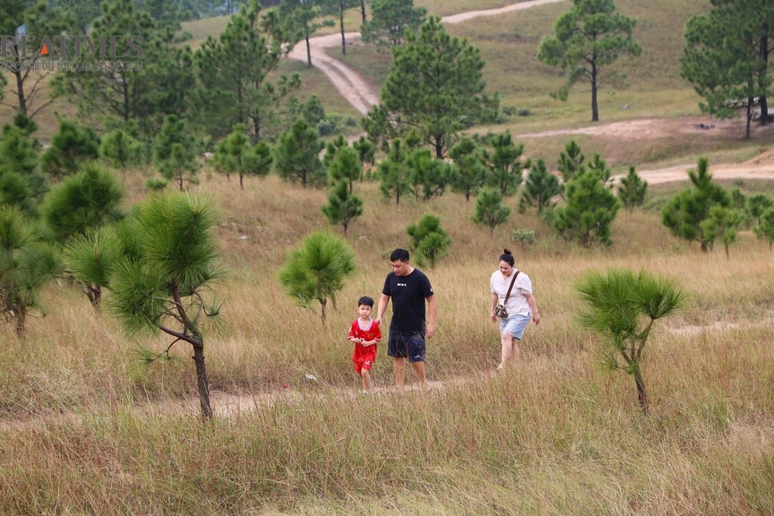 Đỉnh Phượng Hoàng - Vẻ đẹp hoang sơ lặng lẽ giữa non thiêng Quảng Ninh- Ảnh 6.