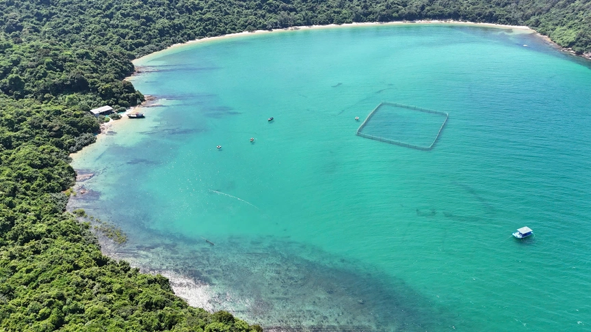 Quảng Ninh: Chiêm ngưỡng vẻ đẹp đảo Thanh Lân - "viên ngọc thô" vùng Đông Bắc- Ảnh 3.