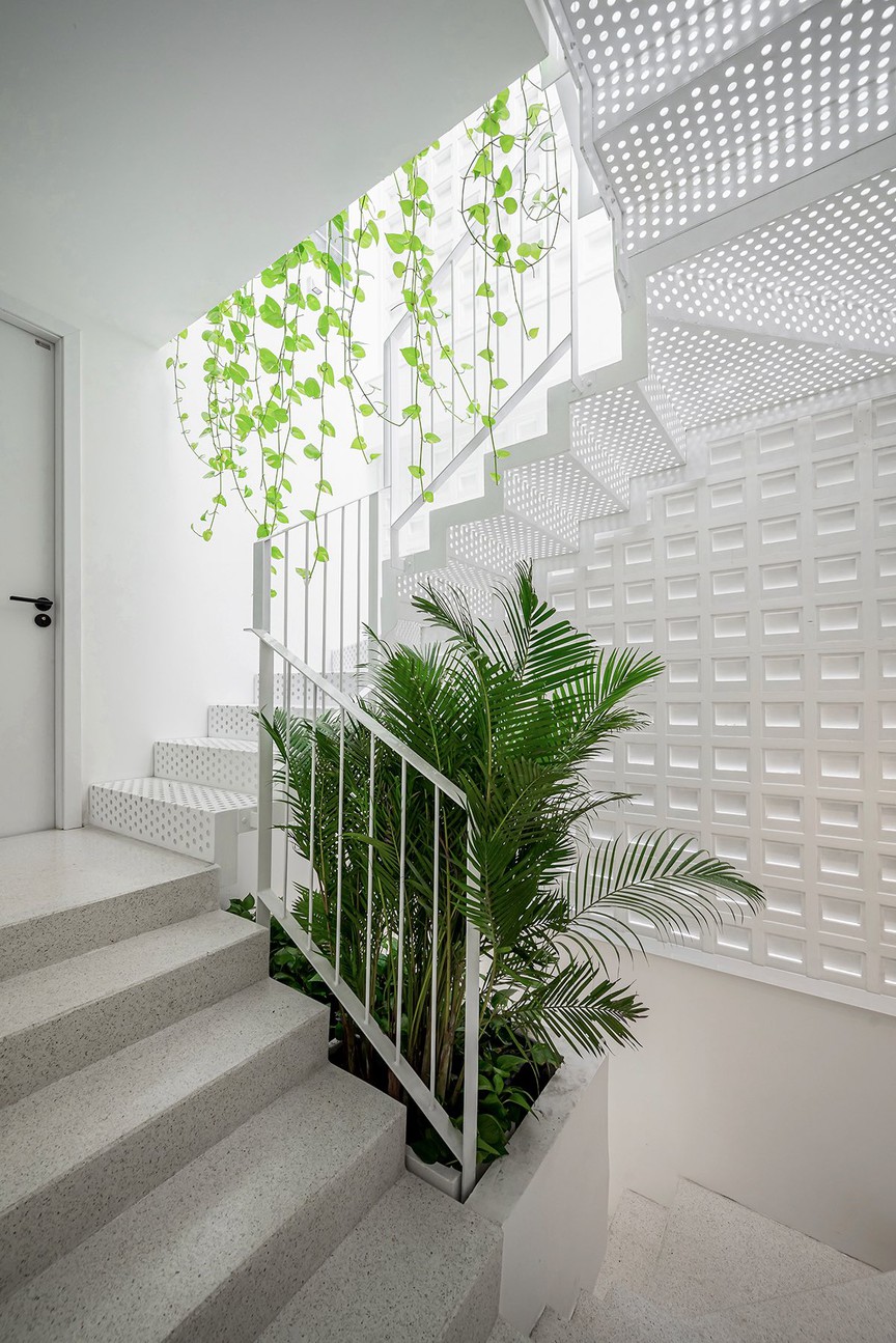 Không gian an trú của 3 anh chị em giữa lòng Sài Gòn: Ẩn mình như ốc đảo thu nhỏ- Ảnh 5.