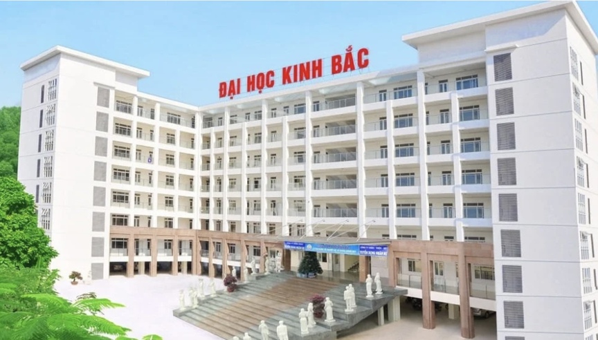 Việt Nam chấm dứt hoạt động dự án một trường đại học- Ảnh 1.